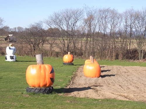 c0223117_22172100.jpg