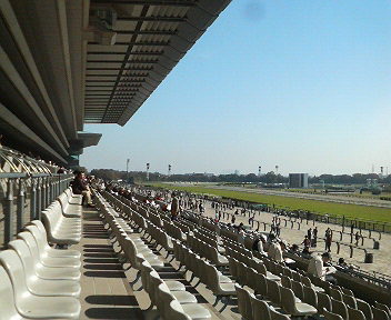 f0053218_11324236.jpg