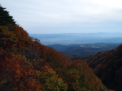 秋_d0062721_6223244.jpg