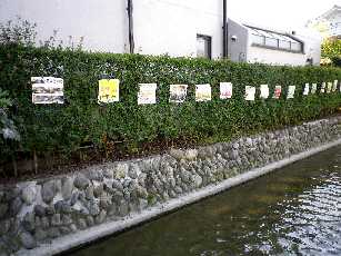 川沿い展・２０１１　_d0101522_1741345.jpg