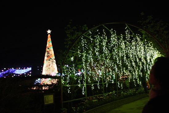 d0077029_21472029.jpg