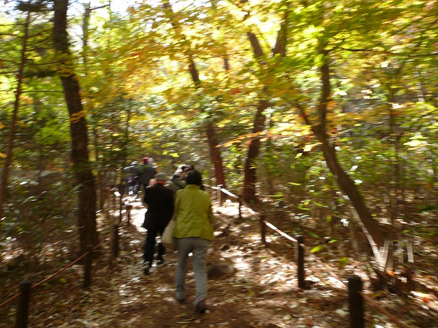 a0006033_18291048.jpg
