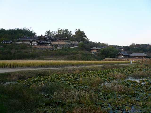 a0006033_18304533.jpg
