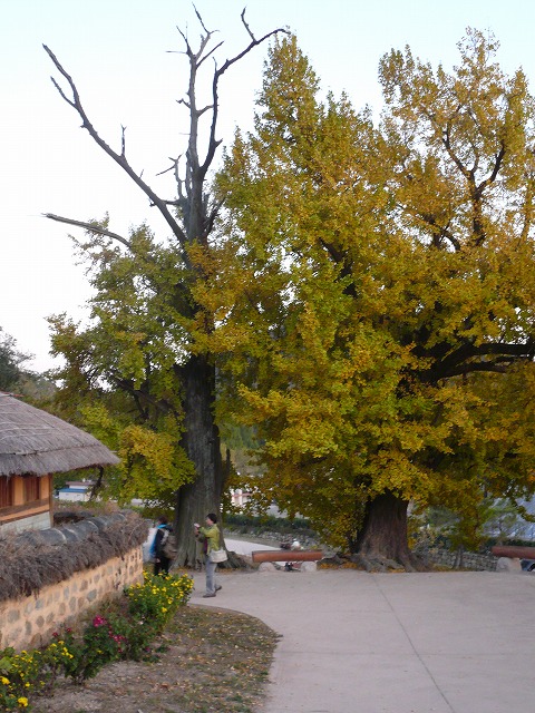 a0006033_18314553.jpg