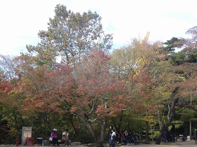 a0006033_18361943.jpg