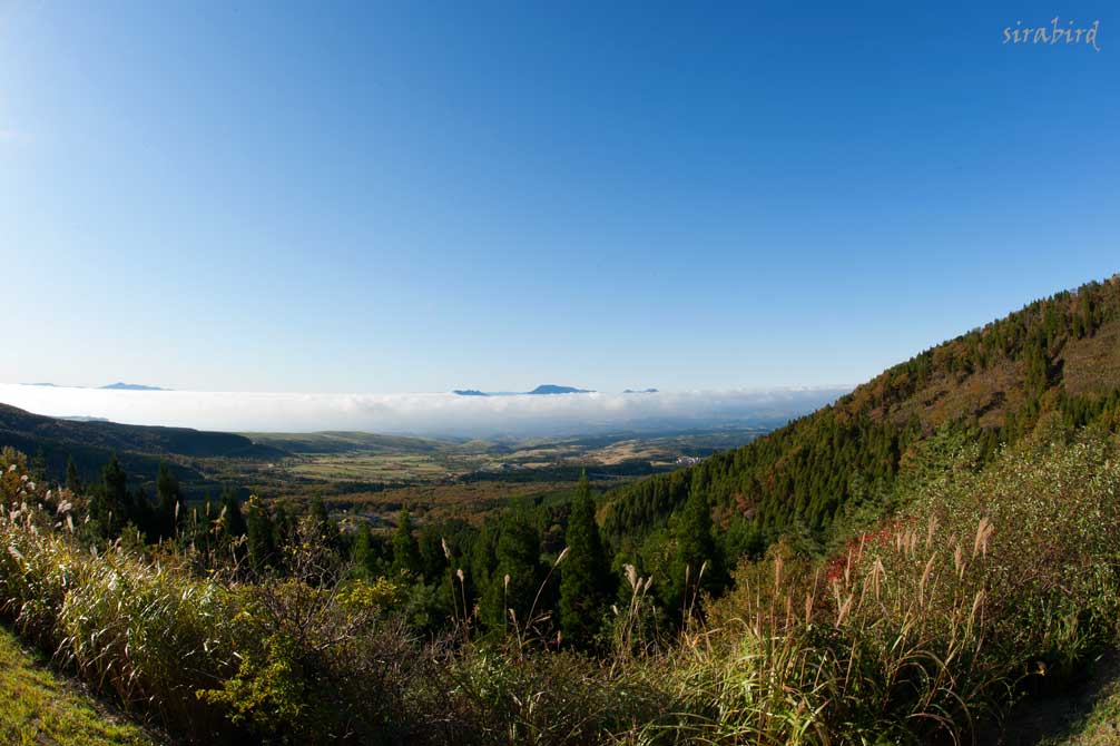 d0238245_9301066.jpg