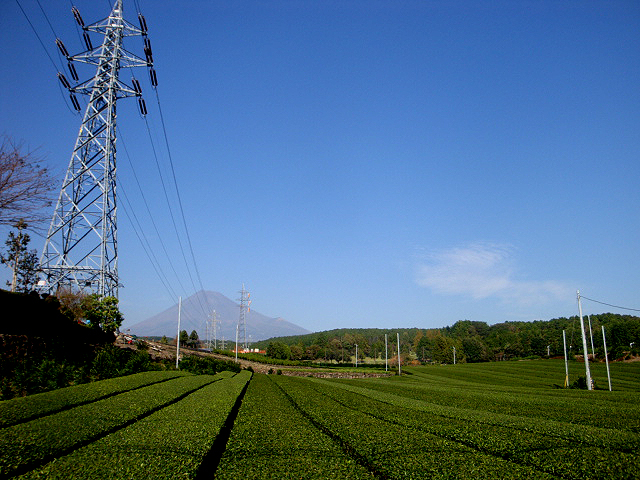 e0223652_2145073.jpg