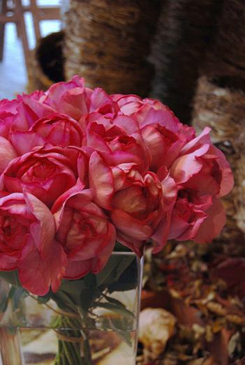 a0201358_234831.jpg
