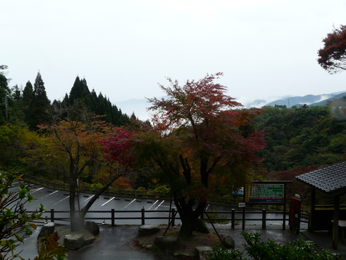 e0101163_1639381.jpg