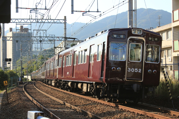 d0202264_8204825.jpg