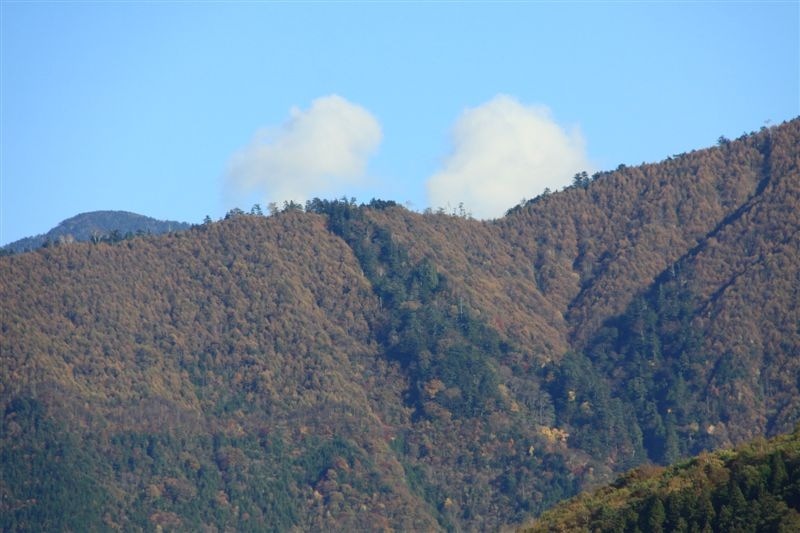 c0185066_84818.jpg