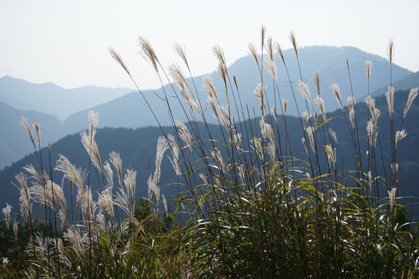 c0203584_20465665.jpg