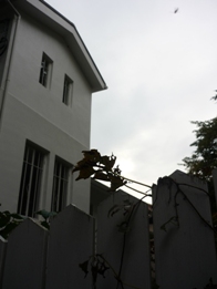 a0152785_19462011.jpg