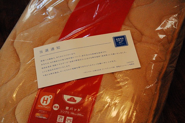 d0050290_2334381.jpg