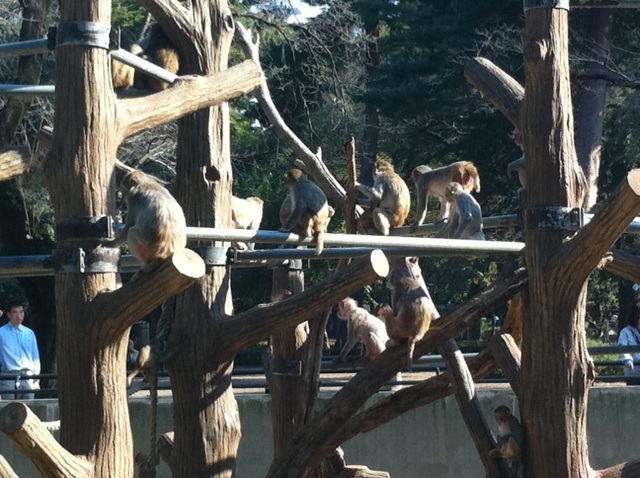 Zoo Park_f0236990_18202018.jpg