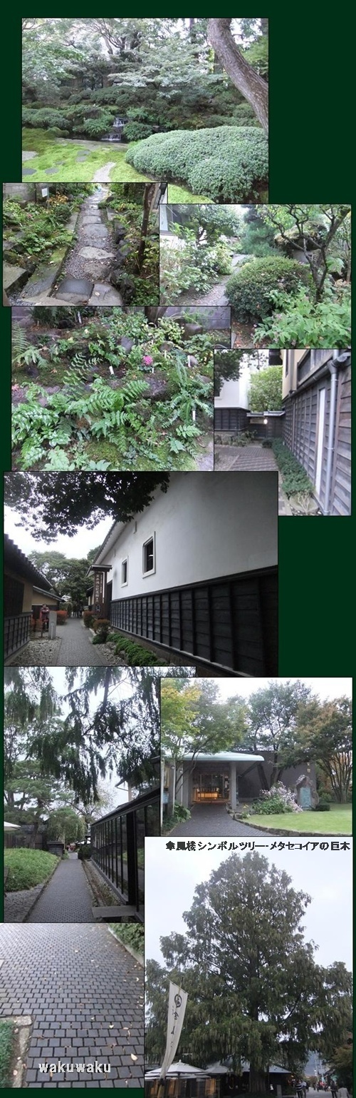 f0215591_1302532.jpg