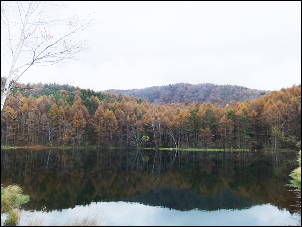 f0215591_15233391.jpg