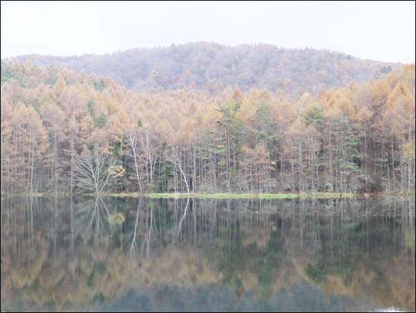 f0215591_15243737.jpg