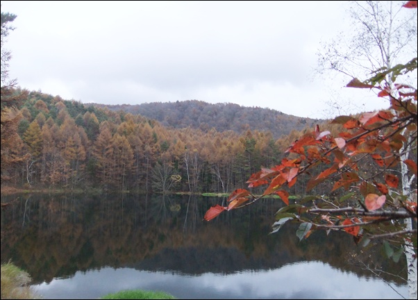 f0215591_15431790.jpg