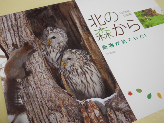 2012カレンダー_d0198793_14353332.jpg
