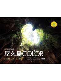 2012カレンダー_d0198793_1443125.png