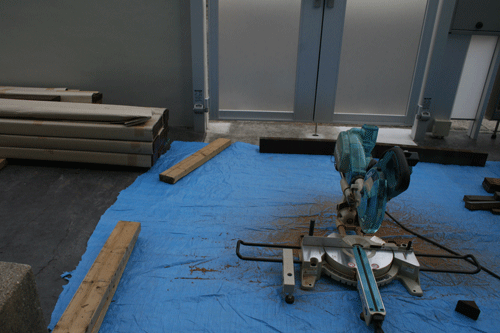 c0011300_20348100.gif