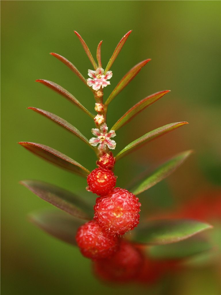 赤塚植物園自主連と・・・・_f0224100_2026369.jpg