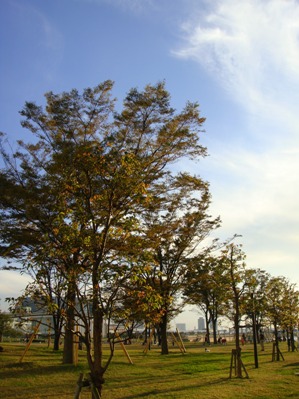 a0167803_12595252.jpg