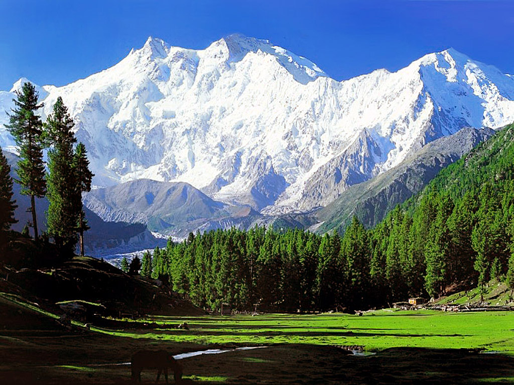 NANGA PARBAT _b0050305_1911514.jpg