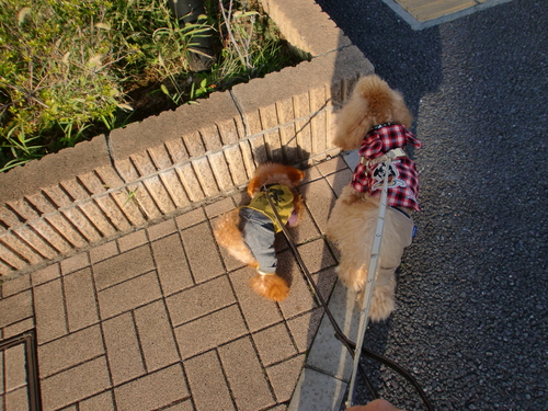 c0110906_023247.jpg