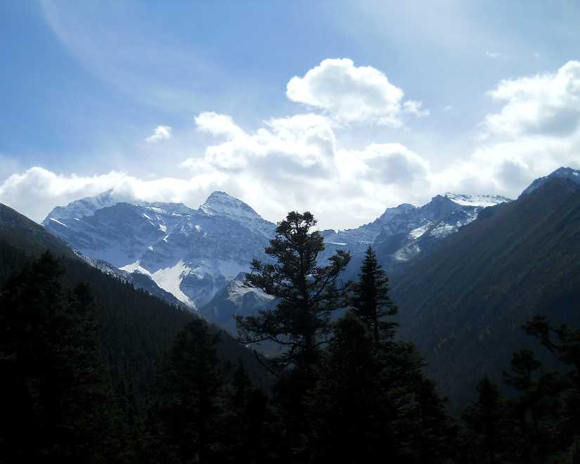 d0140806_17363838.jpg