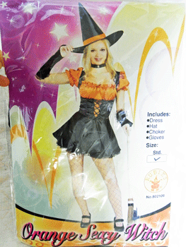 sexy witch参上!?_b0189509_333471.gif