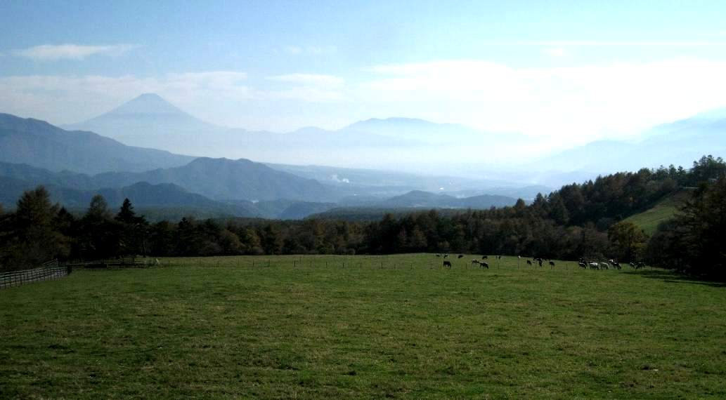 e0003910_1522297.jpg