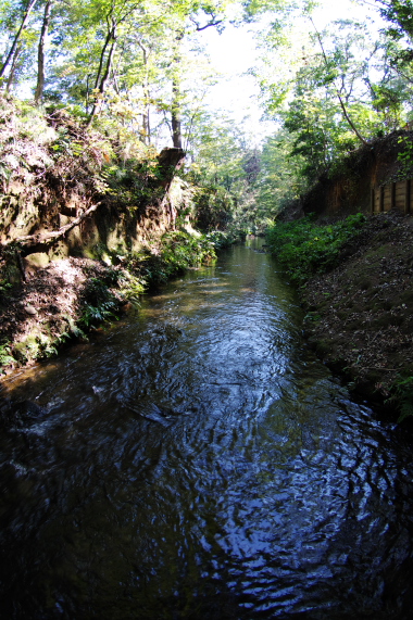 玉川上水散歩_e0224413_2017234.jpg