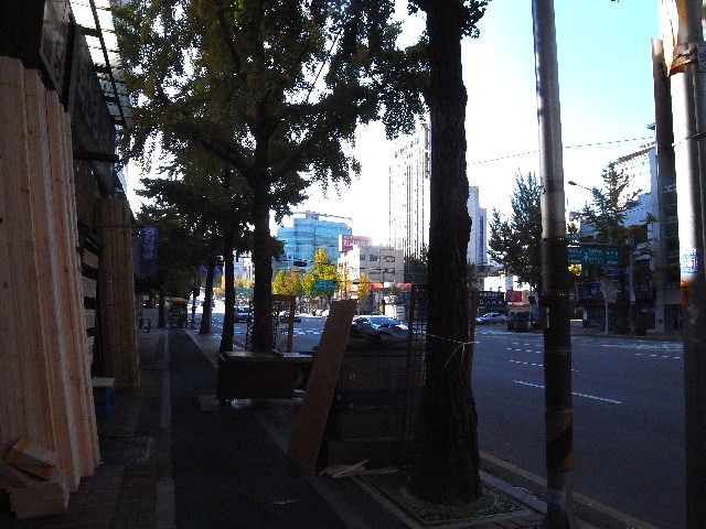 僅かに扉が開いた日。_c0116714_22382060.jpg