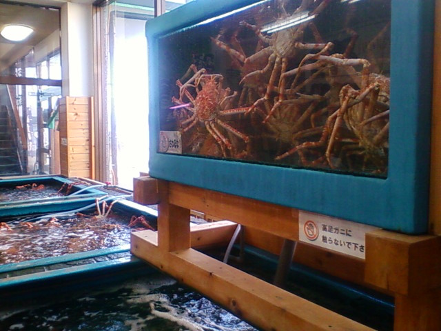 e0125217_1474819.jpg