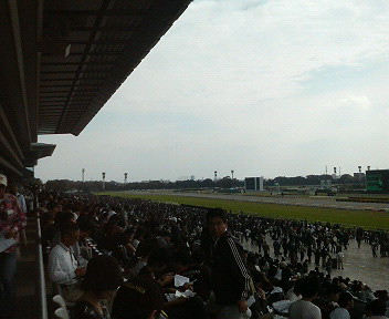 f0053218_1054966.jpg