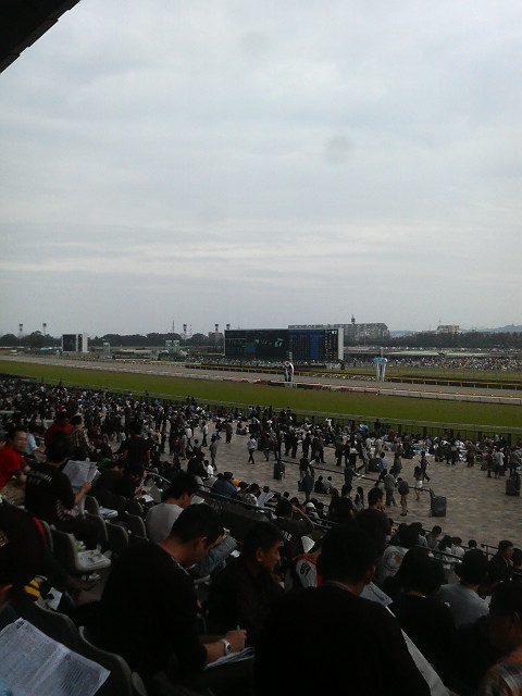 f0053218_139062.jpg