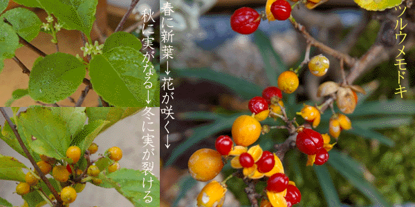 f0228619_23491766.gif