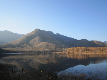 f0035222_8584023.jpg