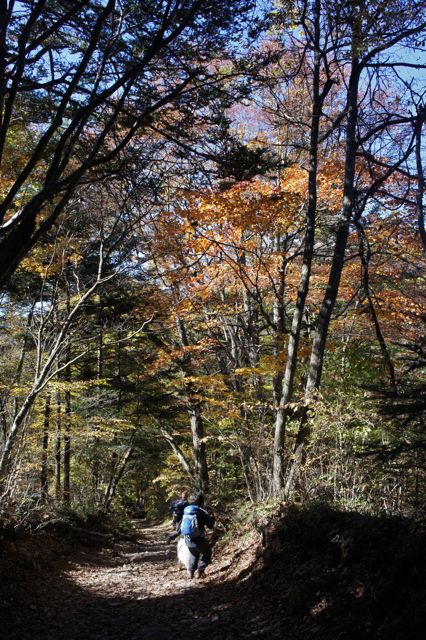 f0234023_12124794.jpg