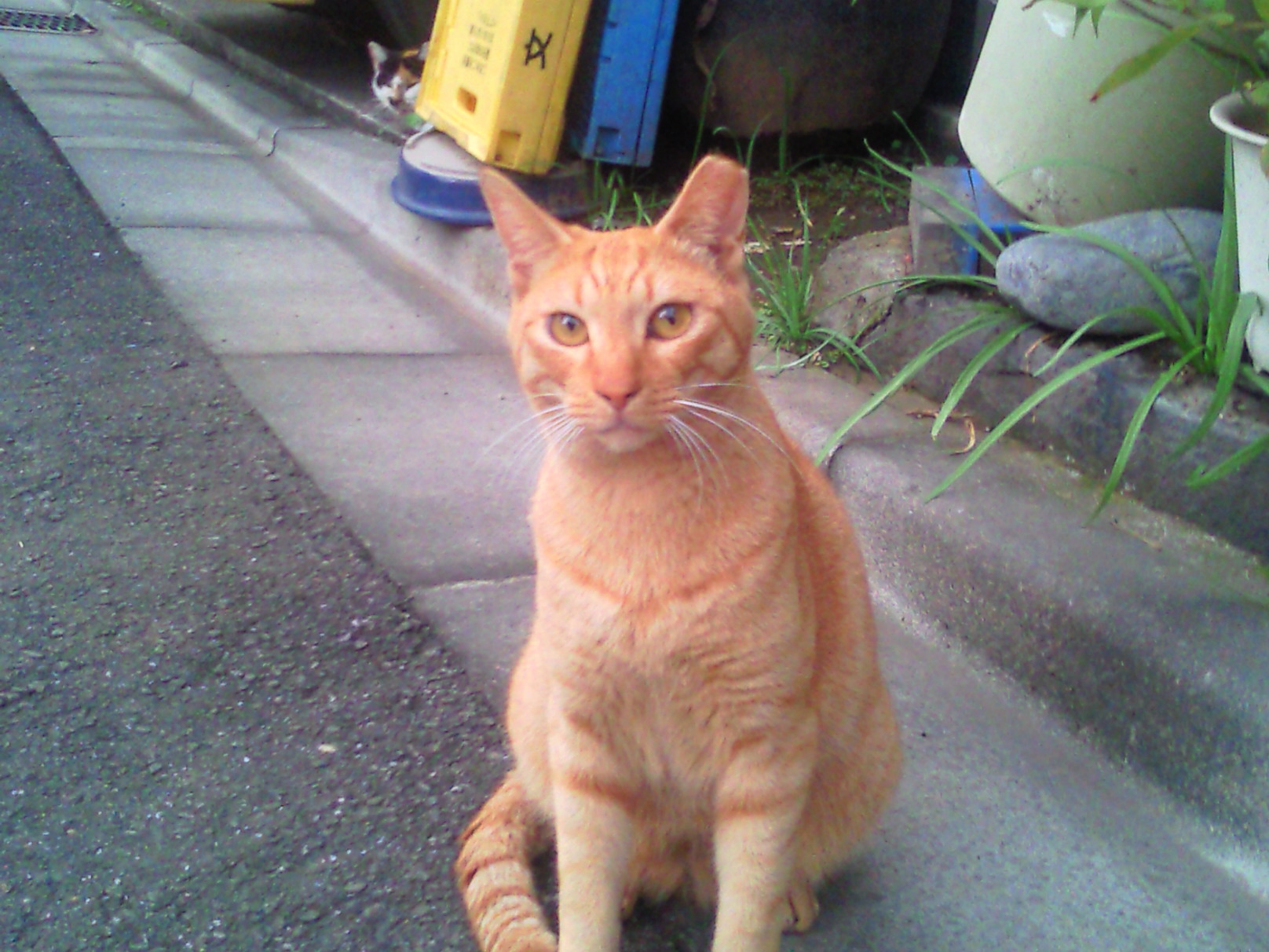 c0190424_15264724.jpg