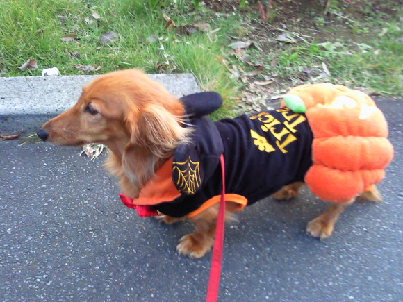 c0190424_15264773.jpg