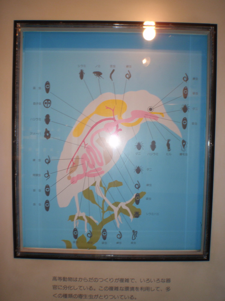 c0034029_97383.jpg