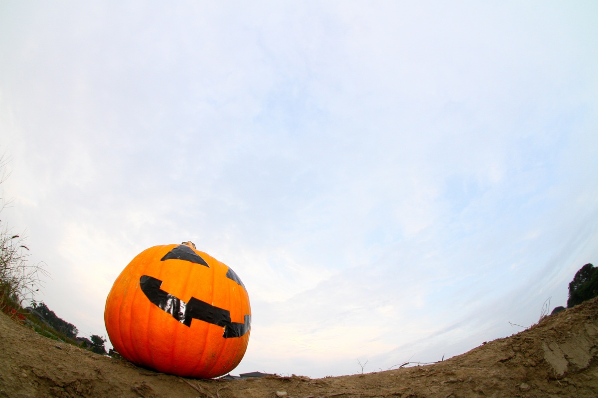 Happy Halloween @NBC_b0136231_085289.jpg