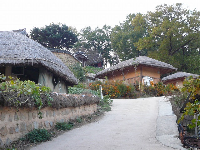 a0006033_10115971.jpg
