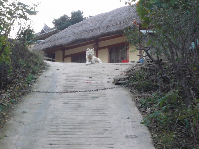 a0006033_1012121.jpg