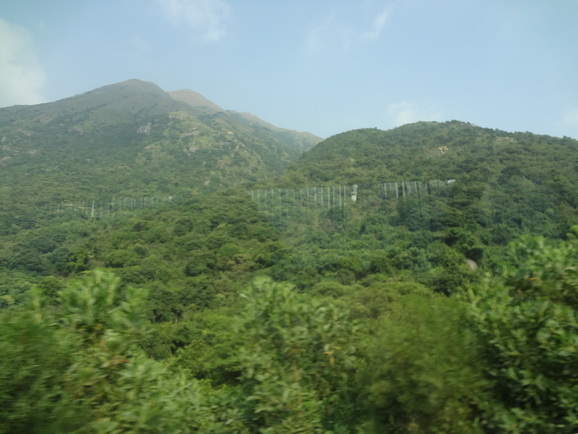 d0219834_20504059.jpg