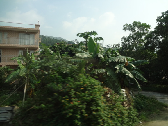 d0219834_20512752.jpg