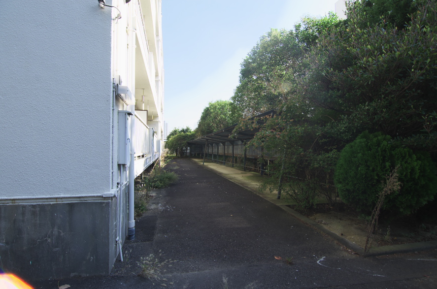 思い出撮影 In 上大岡花王僚 満足を求めて 思い出撮影 In 上大岡花王僚 満足を求めて